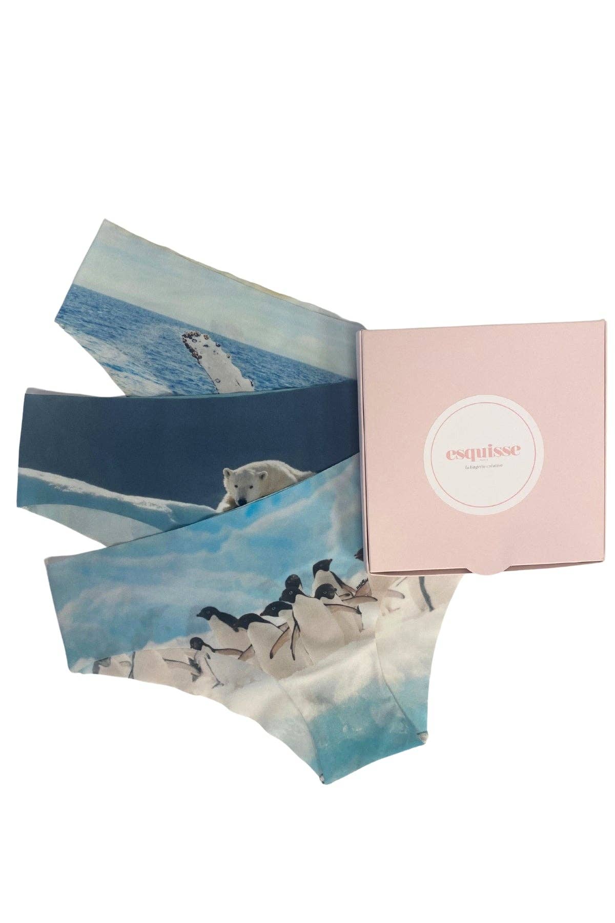 Coffret 3 culottes The Wild Life
