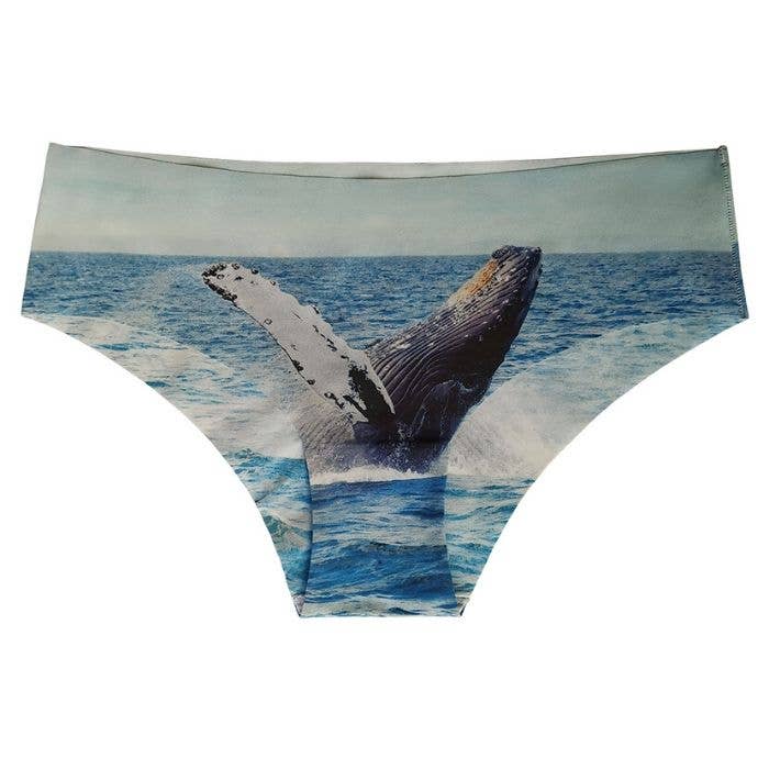 Coffret 3 culottes The Wild Life