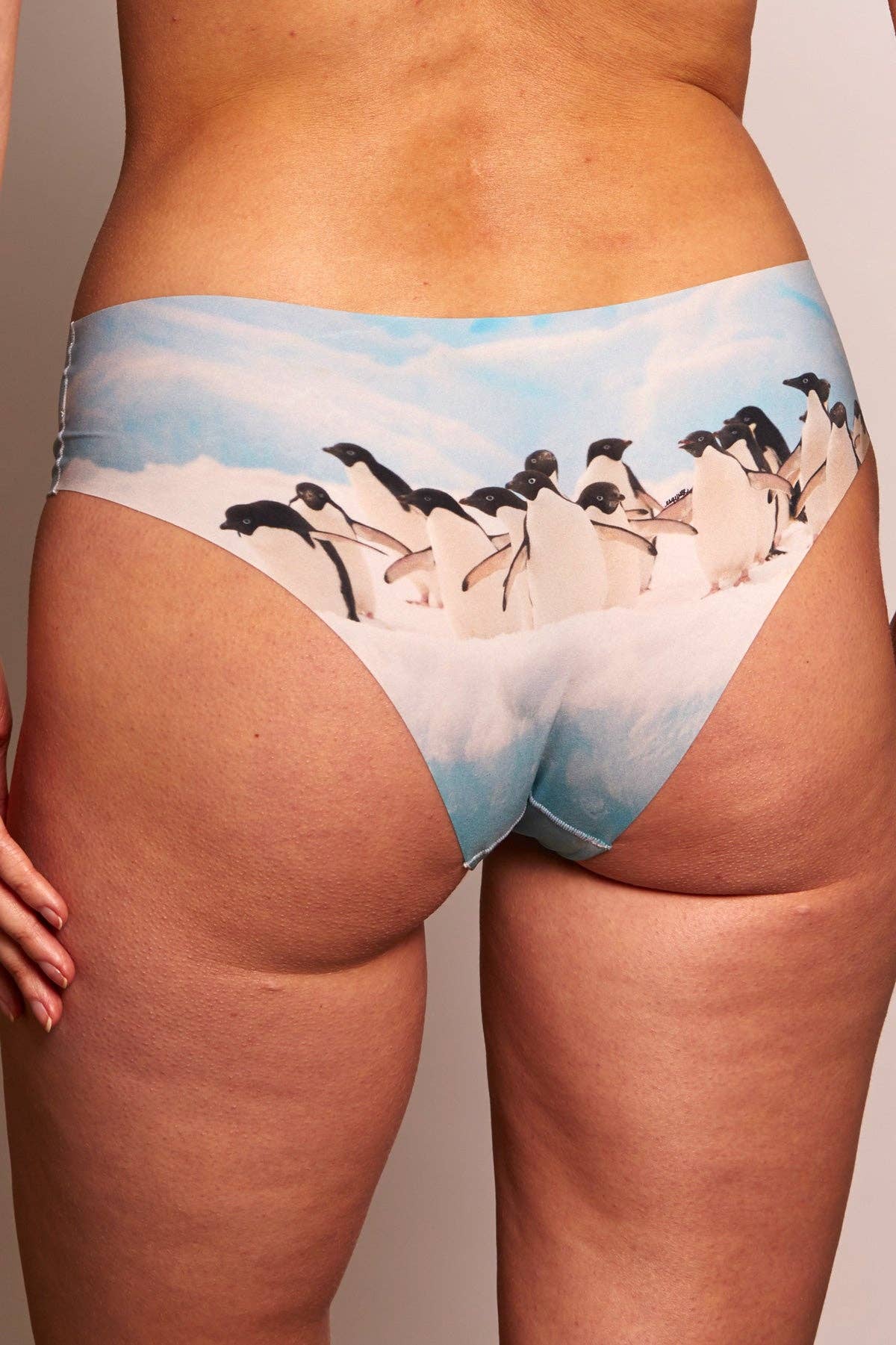 Coffret 3 culottes The Wild Life